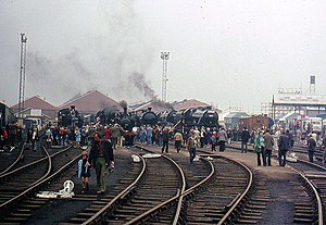 General view of the old coal sidings at Shildon - geograph.org.uk - 2470835.jpg